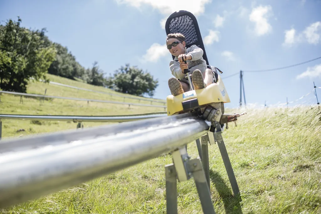 Luge sur rail 5 tours + 1 descente offerte (unique)